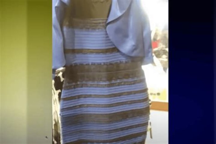 Controversy Surrounding The Internet Sensation