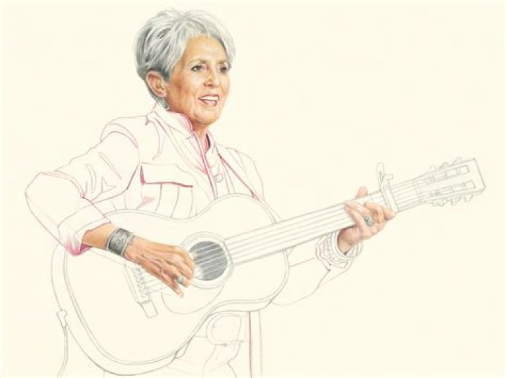 Discover The Multifaceted Legacy Of Joan Baez's Son, Gabriel Harris