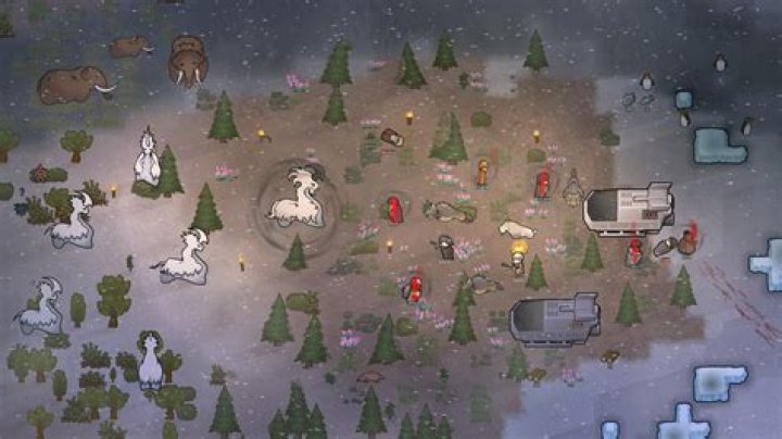 Discover The Unseen: Cydney's Post-Tribal Council Odyssey