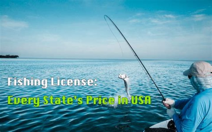 How much is a fishing license at Big 5?