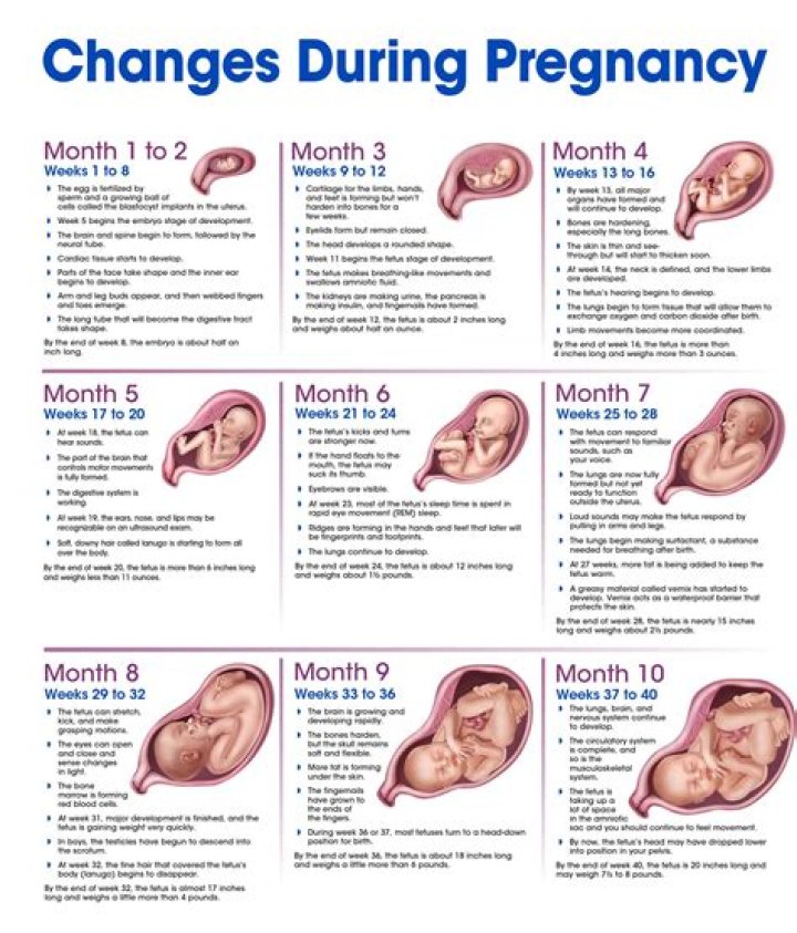 Mel's Pregnancy Journey In "Virgin River"