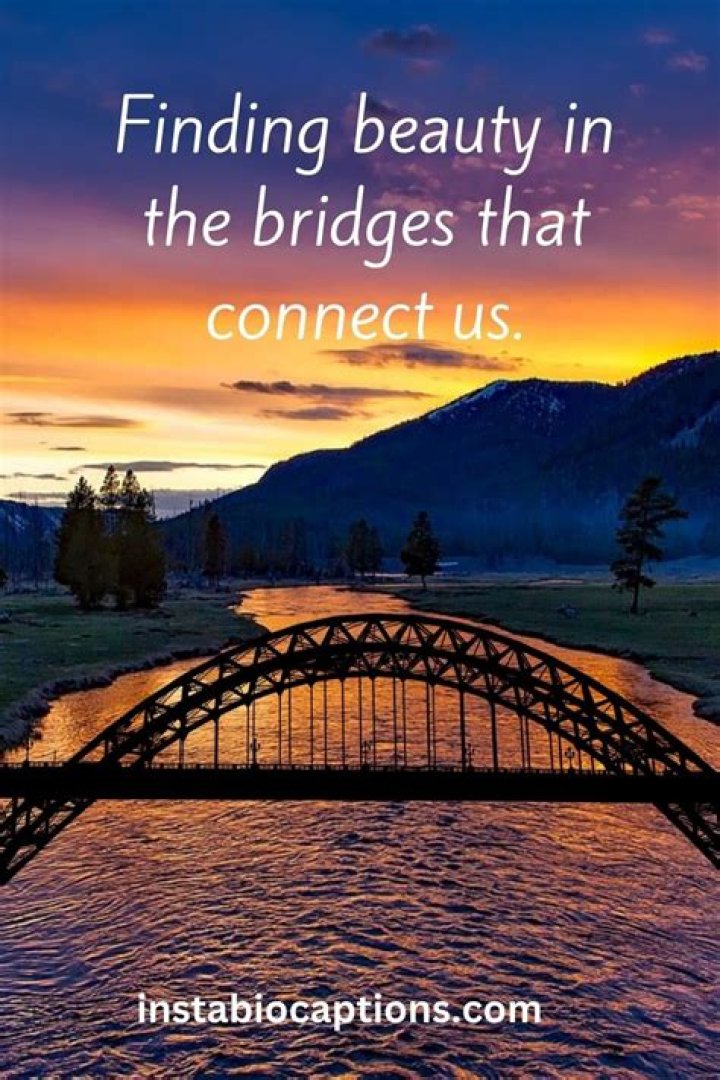 Quotes That Illuminate The Journey
