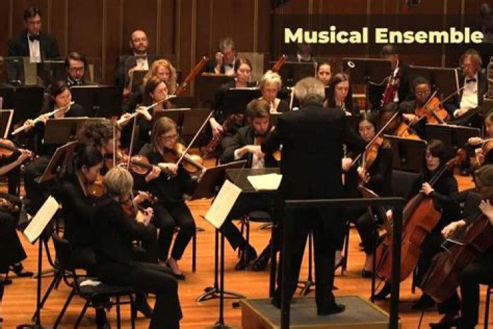 Unraveling The Journey Of A Musical Enigma
