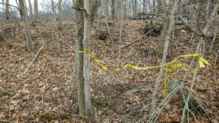 Unveiling The Ohio Abby Olberding Accident Linked To Death